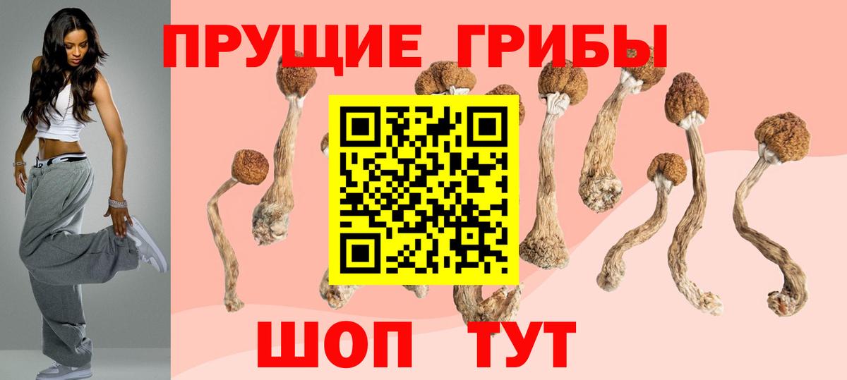 Псилоцибиновые грибы MAGIC MUSHROOMS Отрадный
